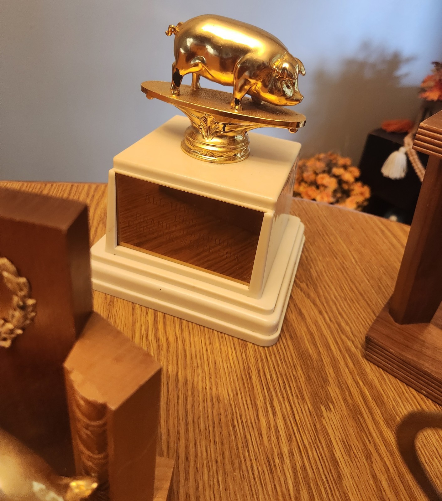 🐖1950s🔥RARE Pig Hog Trophy Champion Market Boar Sow CHESTER WHITES Iowa Sign