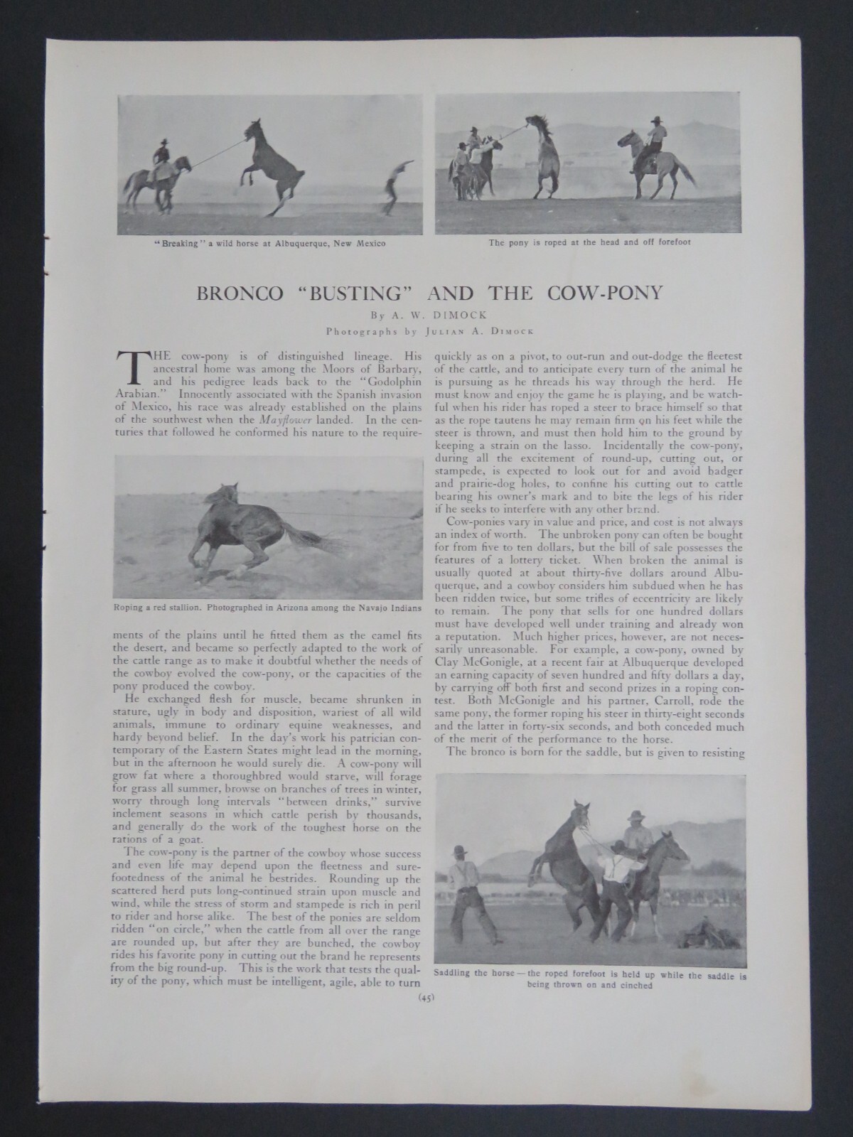 1905 B&W 9×13 Lithograph Bronco Busting and the Cow-Pony Horses Article 2-sided