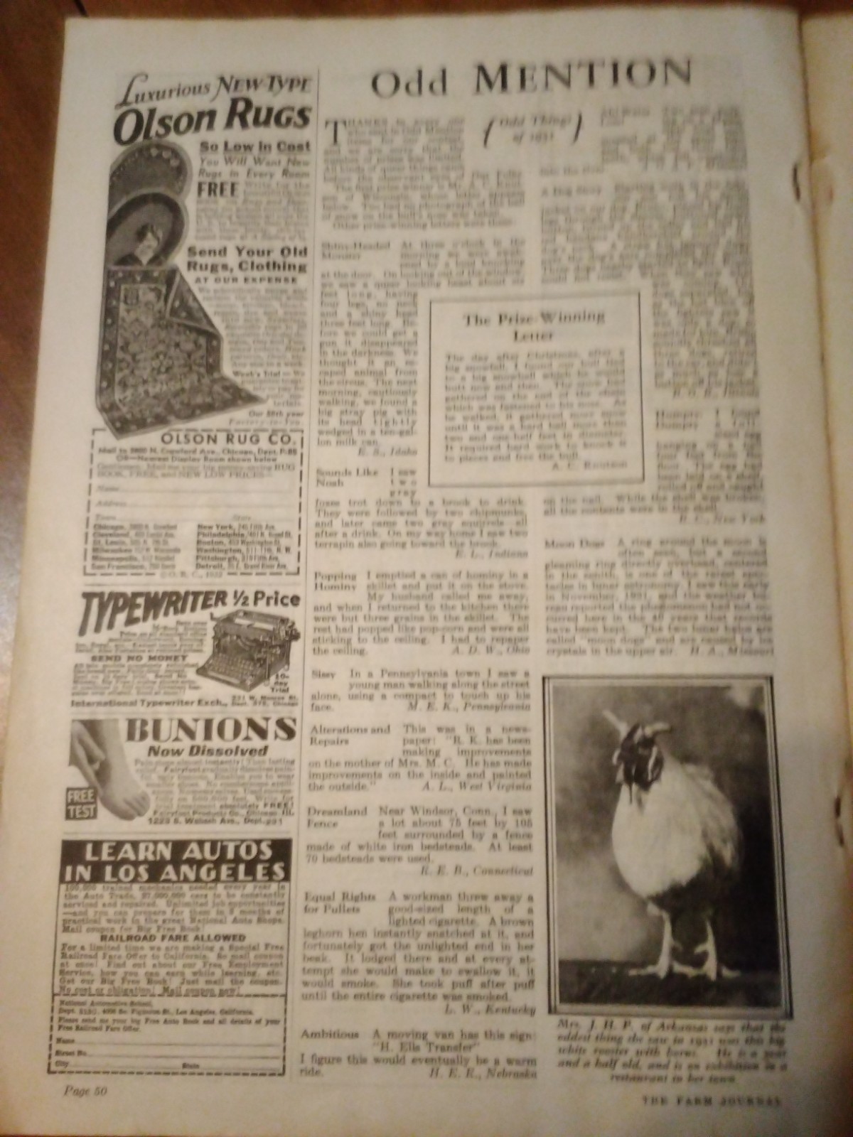 Vtg Natl Farm Journal Mag Mar 1932 Chicken Hen Egg Lay Coop Ephemera Agriculture