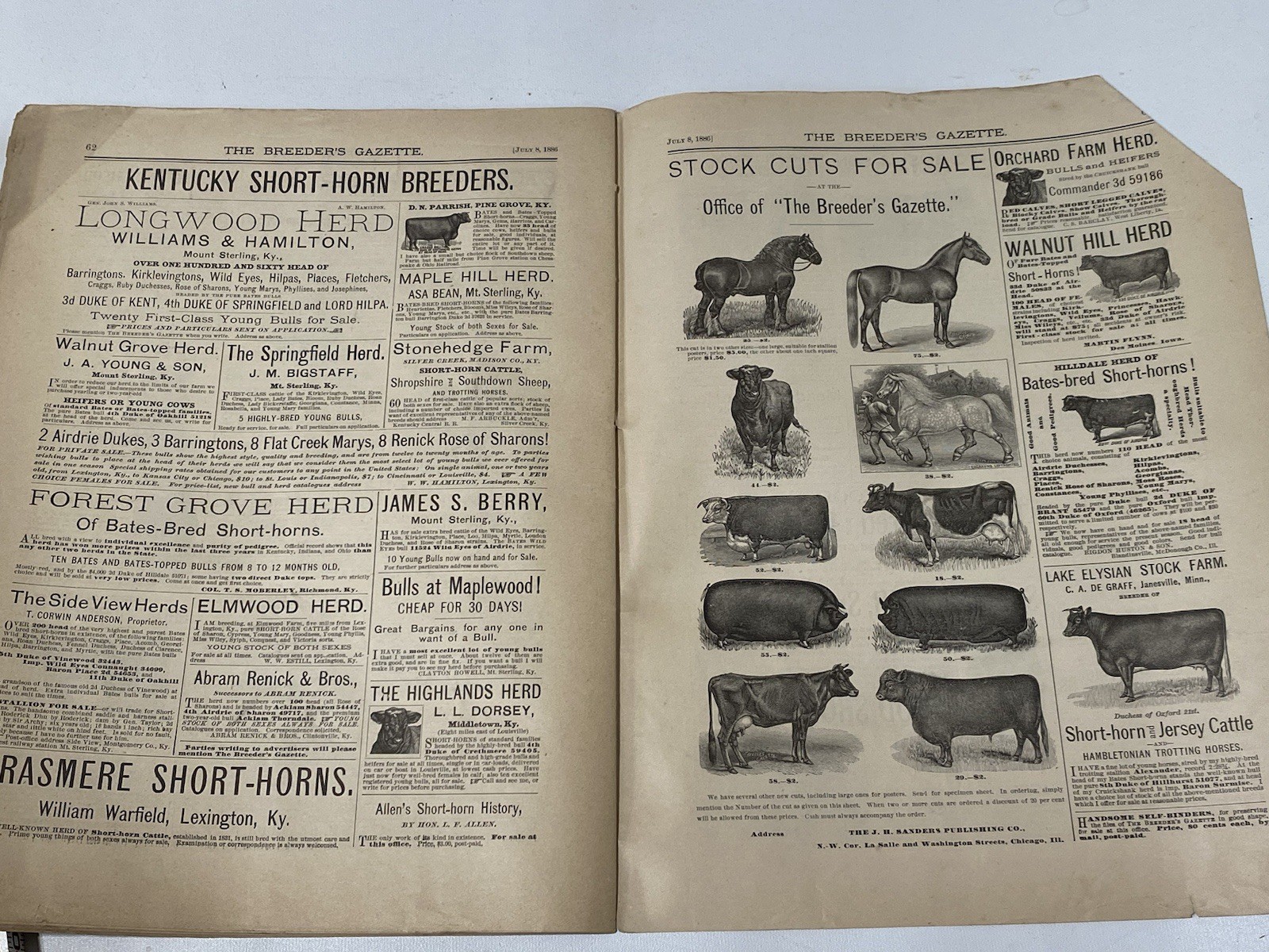Vtg 1886 July Breeders Gazette Hereford Steer Pigs Cows Horse Advertisements