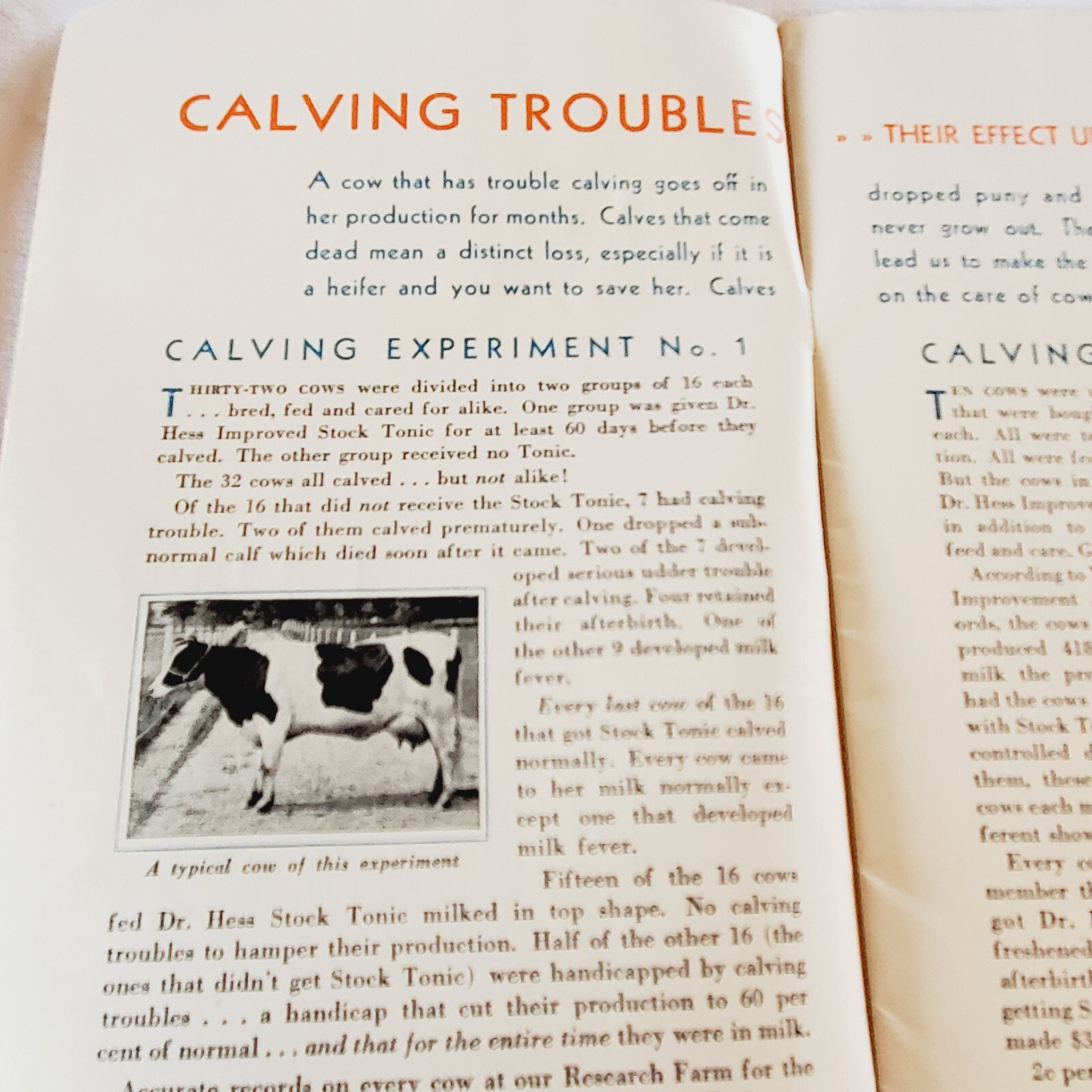 1931 Dr. Hess Clark Products Catalog Ashland Ohio 24 Page Book Animal Husbandry