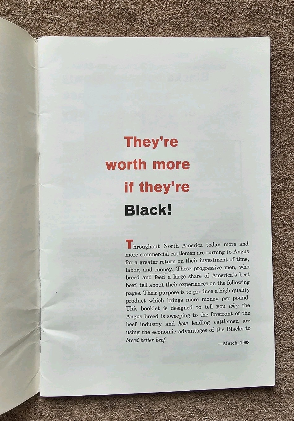 They&rsquo;re Worth More if They&rsquo;re Black, American Angus Association, Cattle Pamphlet