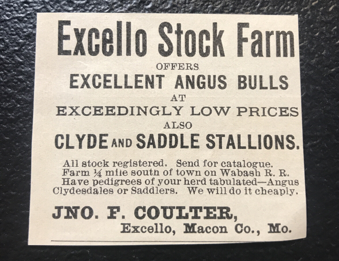 1902 Excello Stock Farm Cattle Advertising – Excello – Missouri – Cow