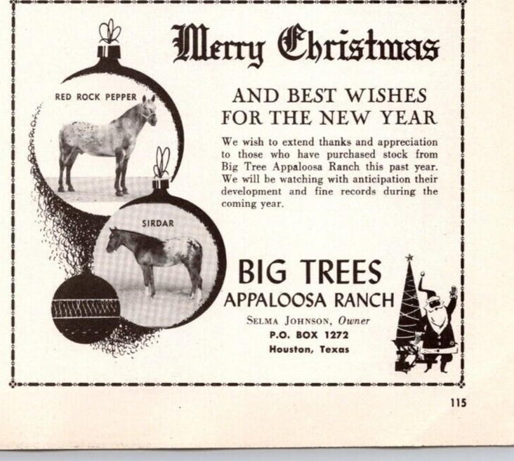 1960 Print Ad Big Trees Appaloosa Ranch Houston TX Selma Johnson Owner Horse