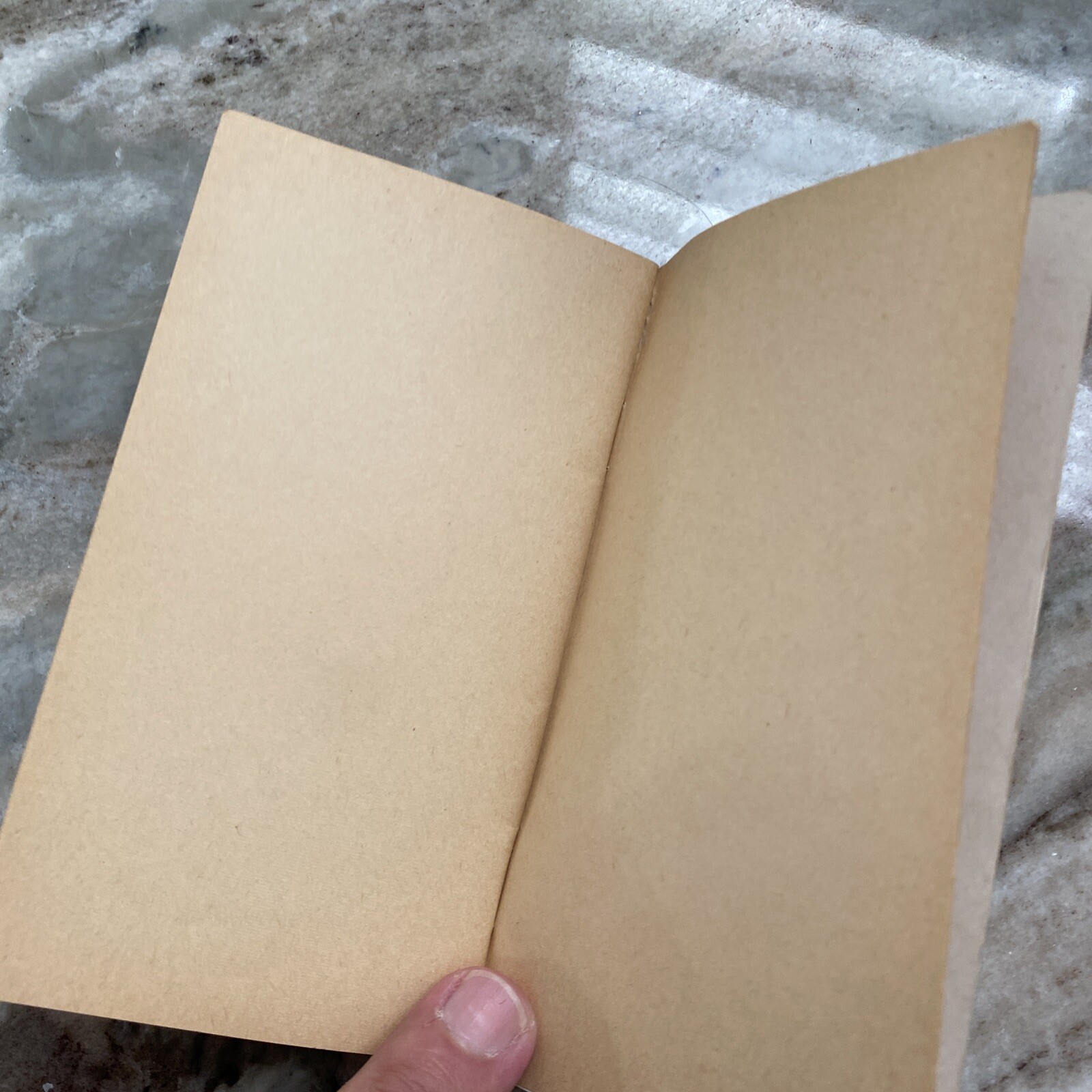 CORN DATA NOTEBOOK FUNK&rsquo;S HYBRID ADVERTISING 1960 GRANT & SON Stonington Ill