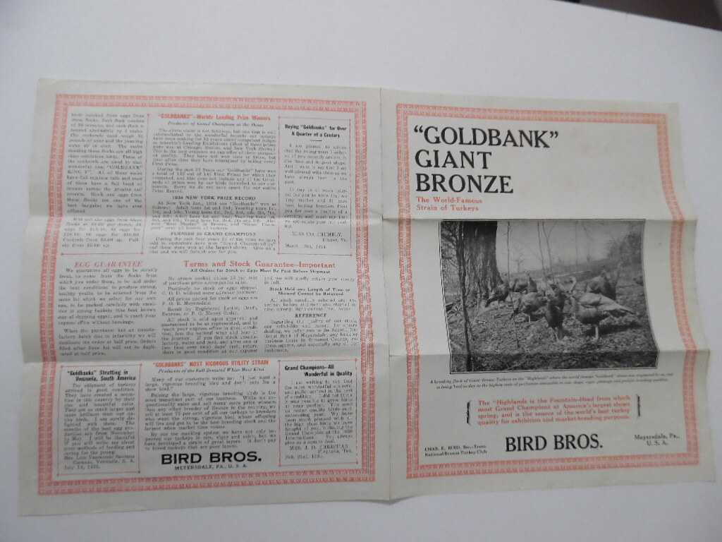 1934 Goldbank Giant Bronze Turkey Brochure Bird Bros Meyersdale Poultry Vintage