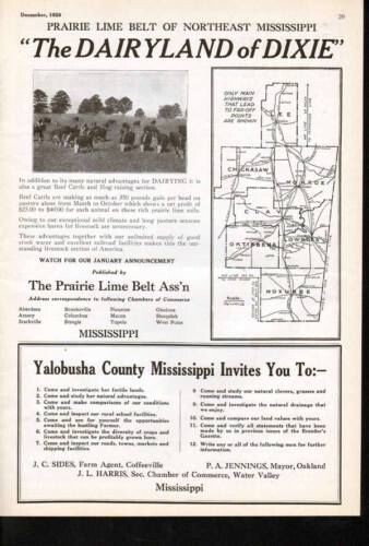 1928 YALOBUSHA COUNTY MISSISSIPPI CATTLE DAIRY FARM BEEF REAL ESTATE AD 7022