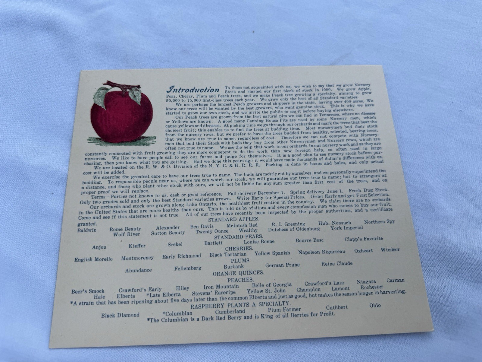 Vintage 1940&rsquo;s Sales Mailer Postcard J H Teat&rsquo;s Sons Williamson NY Peach Apple
