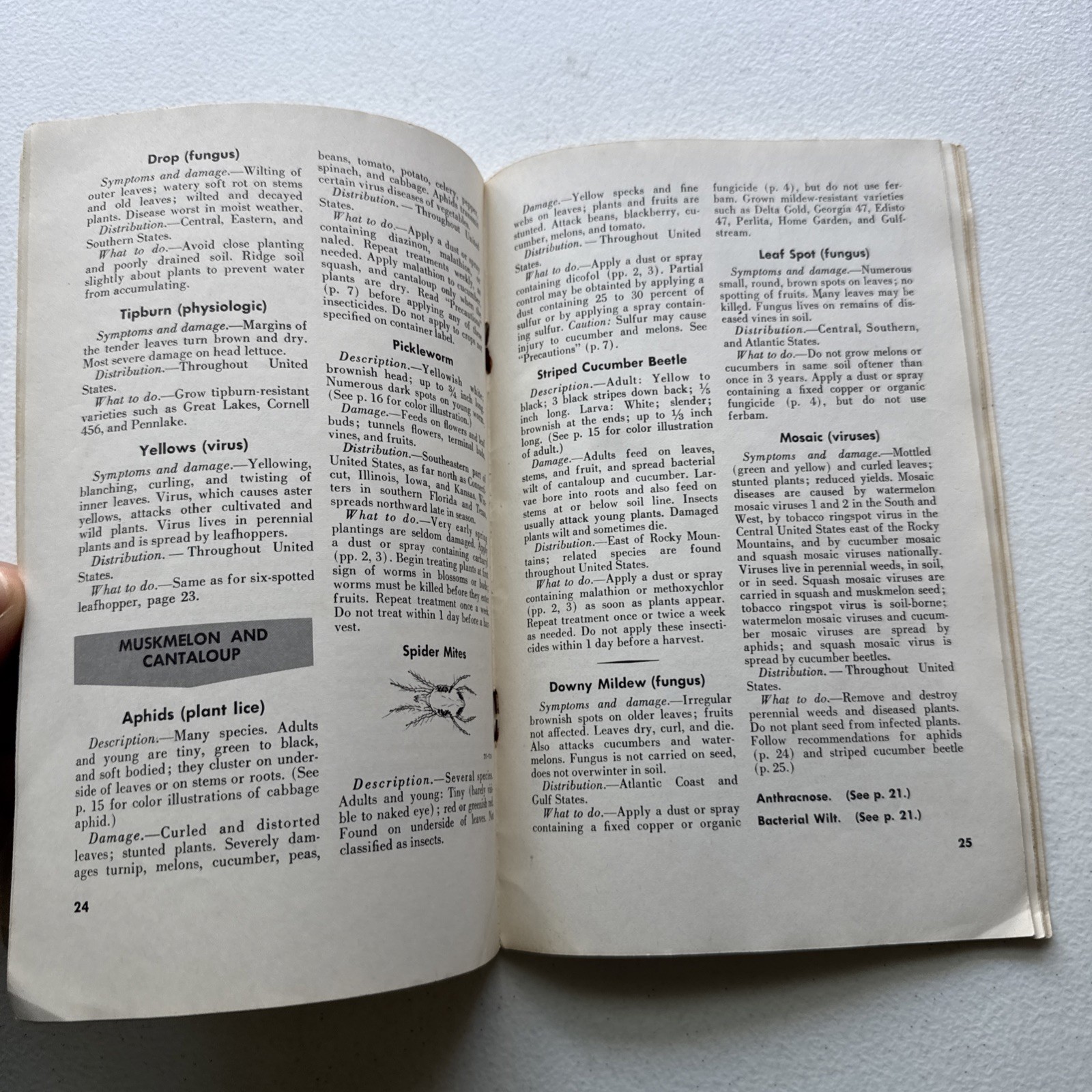 Insects and Diseases of Vegetables in the Home Garden USDA Bulletin No. 46