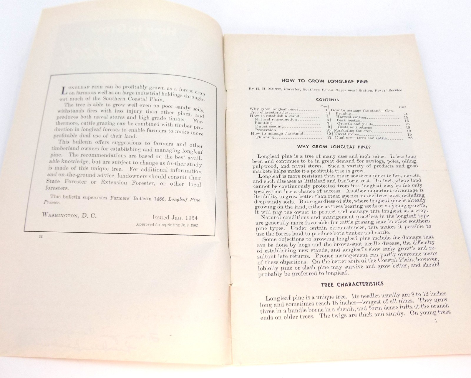 Vntg How To Grow Long Leaf Pine Farmers Bulletin No 2061 US Dept Ag Buckworth
