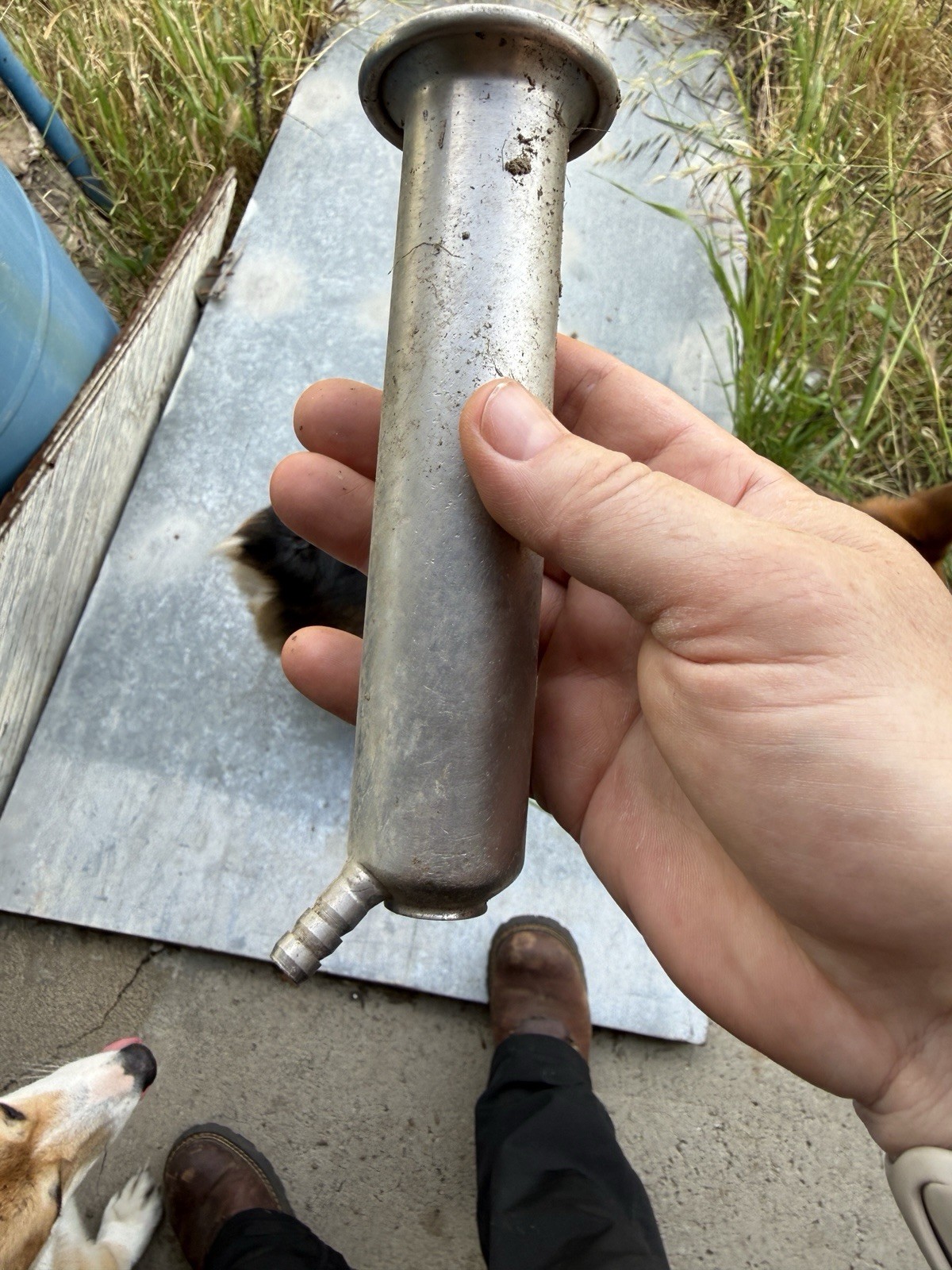 21 Teat cup shells for cow stainless steel