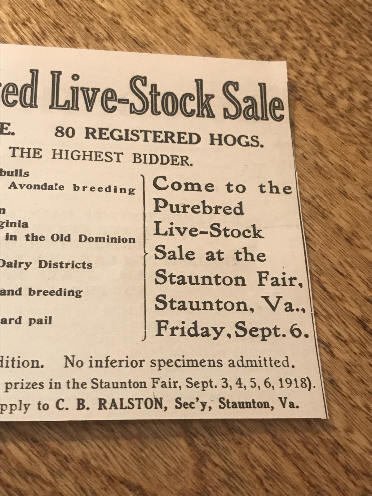 1918 Cattle & Hogs Public Sale – Staunton – Virginia – Pig Cow Farm Advertising