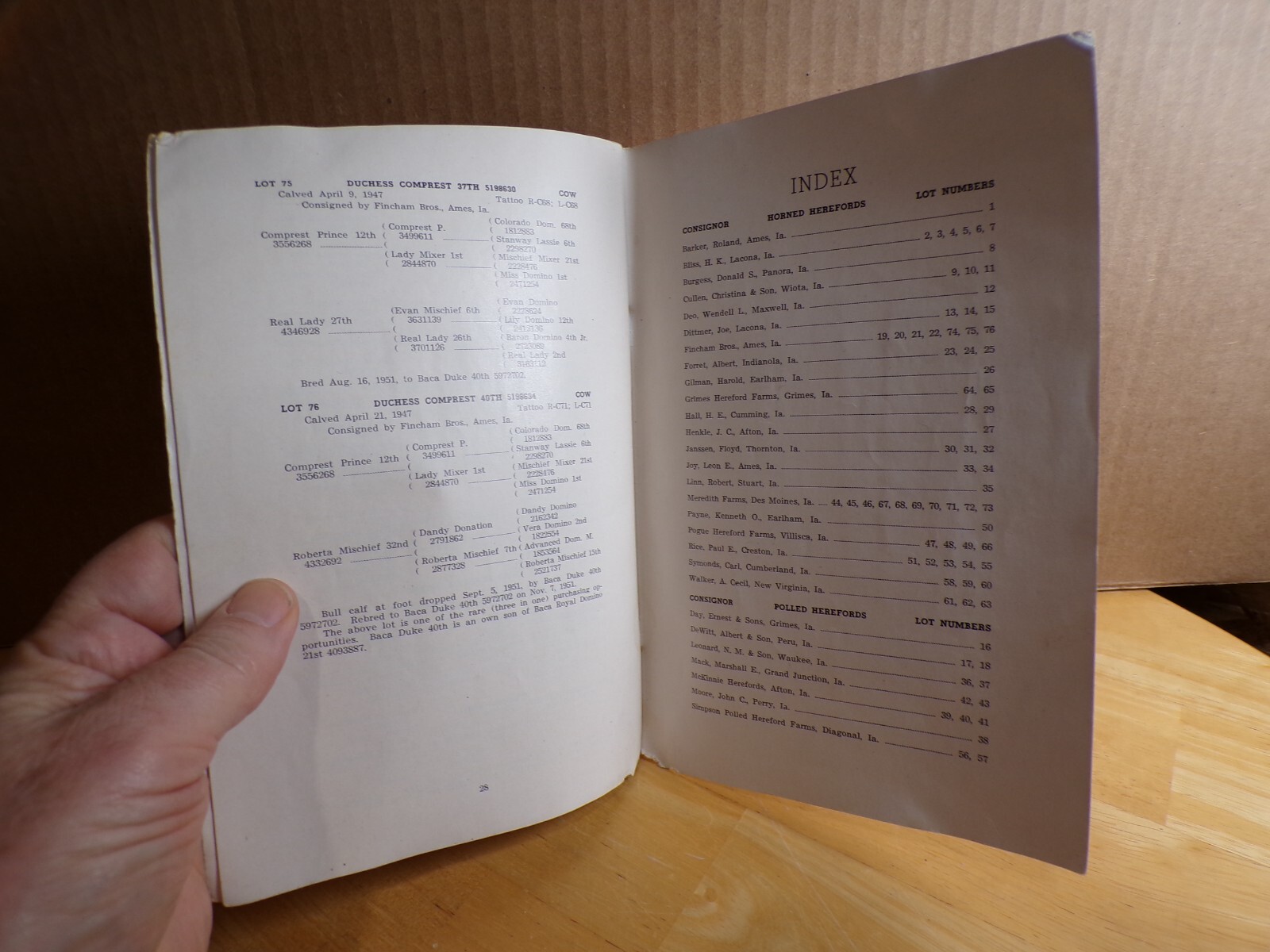 1952 Jan 5 Hereford Cattle Sale Auction A DeWitt Peru-Adel Iowa FAMILY INSIDE?