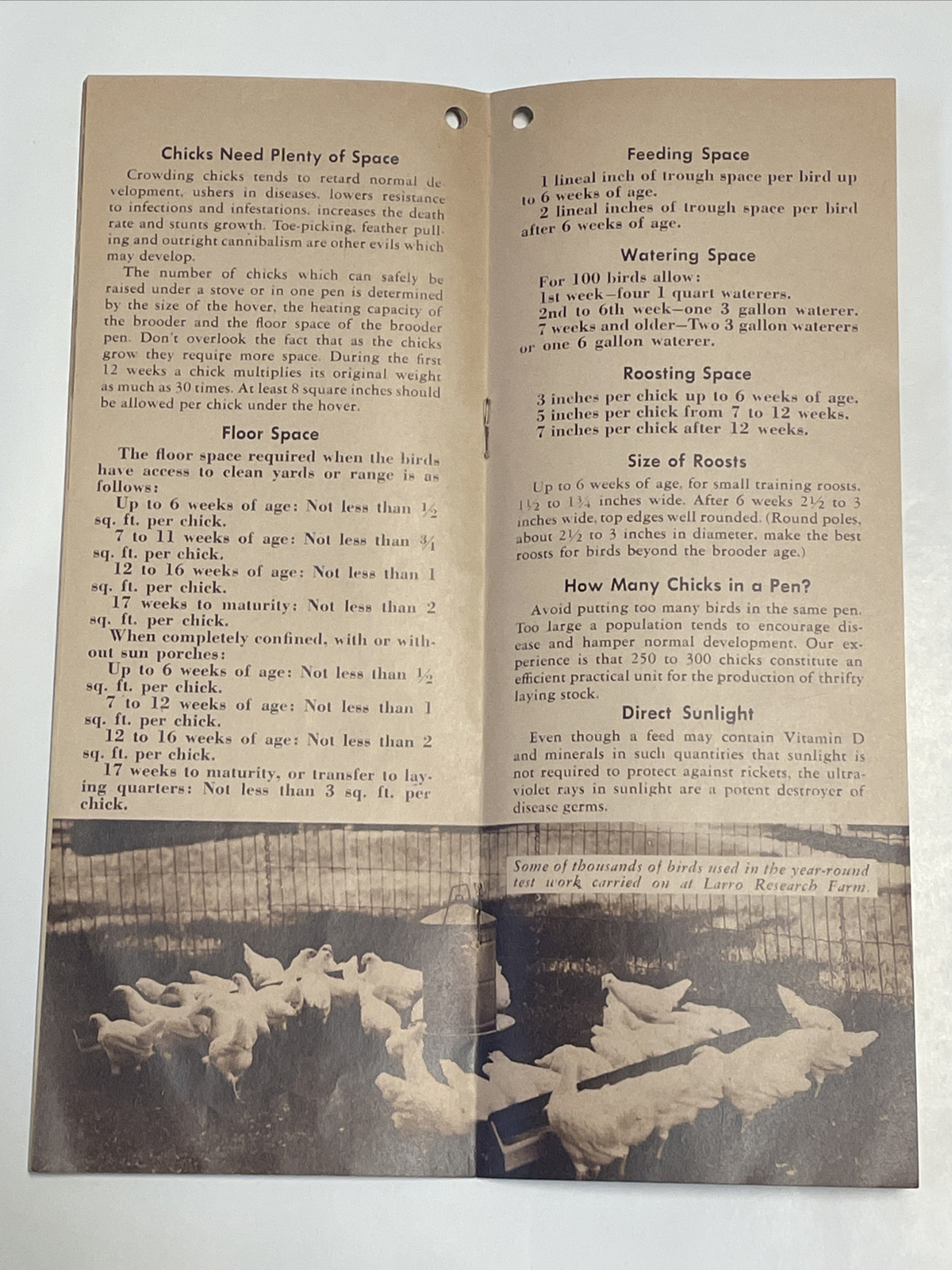1944 Larro Chick Book Poultry Service Department Research Farm General Mills