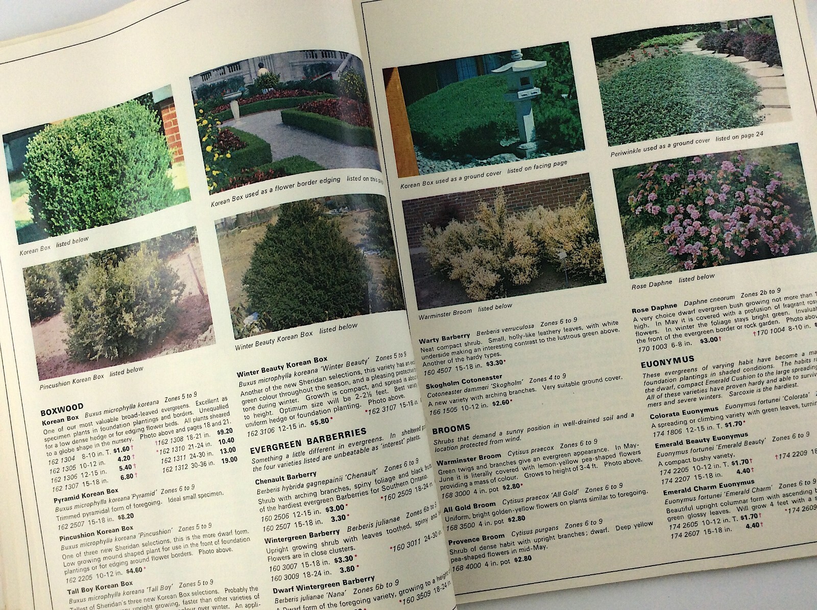 Vintage 1968 Seed Catalog Sheridan Nurseries Limited Ontario Canada Q291