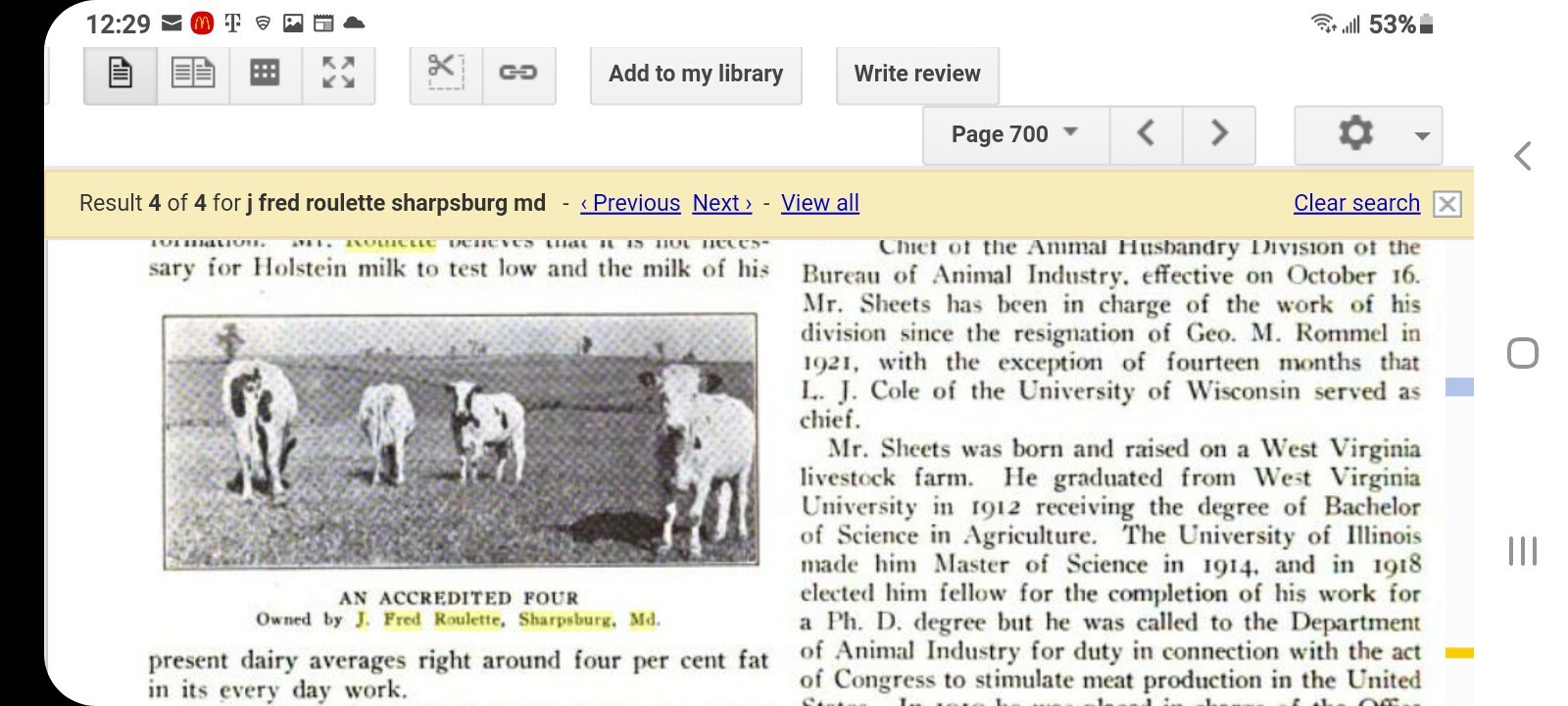 1920&rsquo;s HISTORIC HOLSTEIN FRESIAN ADVERTISING FARM BANNER SIGN KING SYLVIA BULL