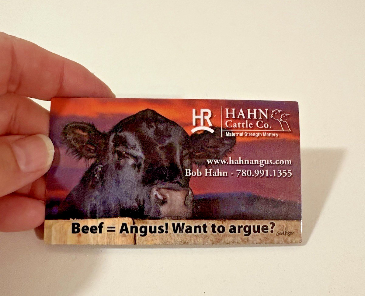 Beef = Angus! Want to Argue? Hahn Cattle Co Alberta Canada Fridge Magnet
