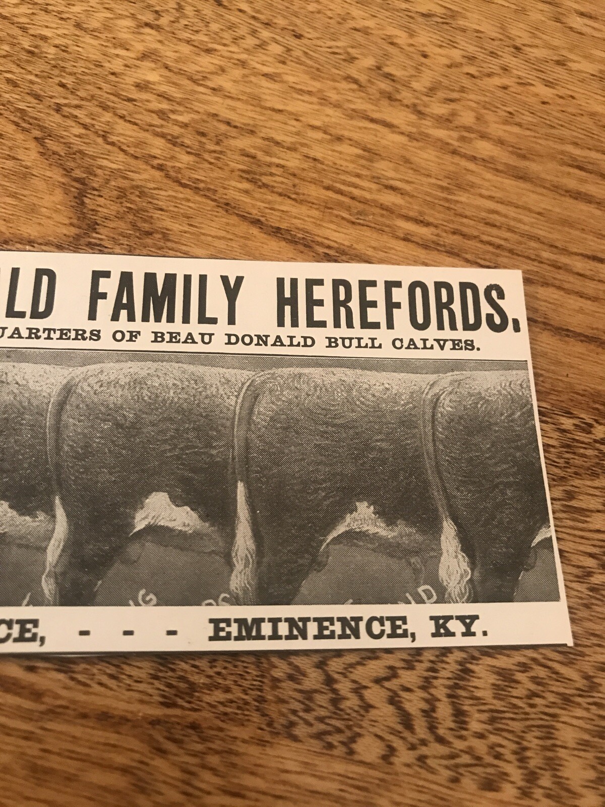 1903 Beau Donald Herefords Cattle Cow Advertising – Eminence – Kentucky
