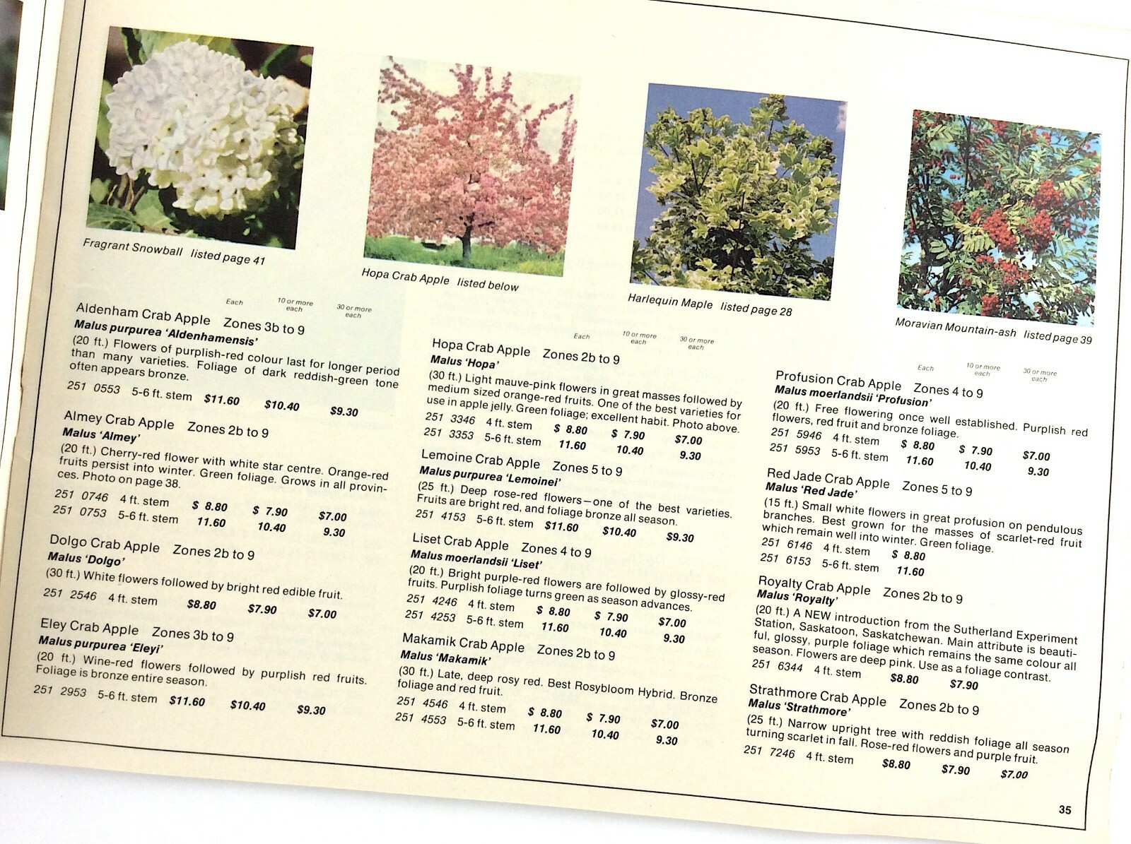 Sheridan Nurseries 1969 Garden Plants Flowers Booklet Guide Catalog L330