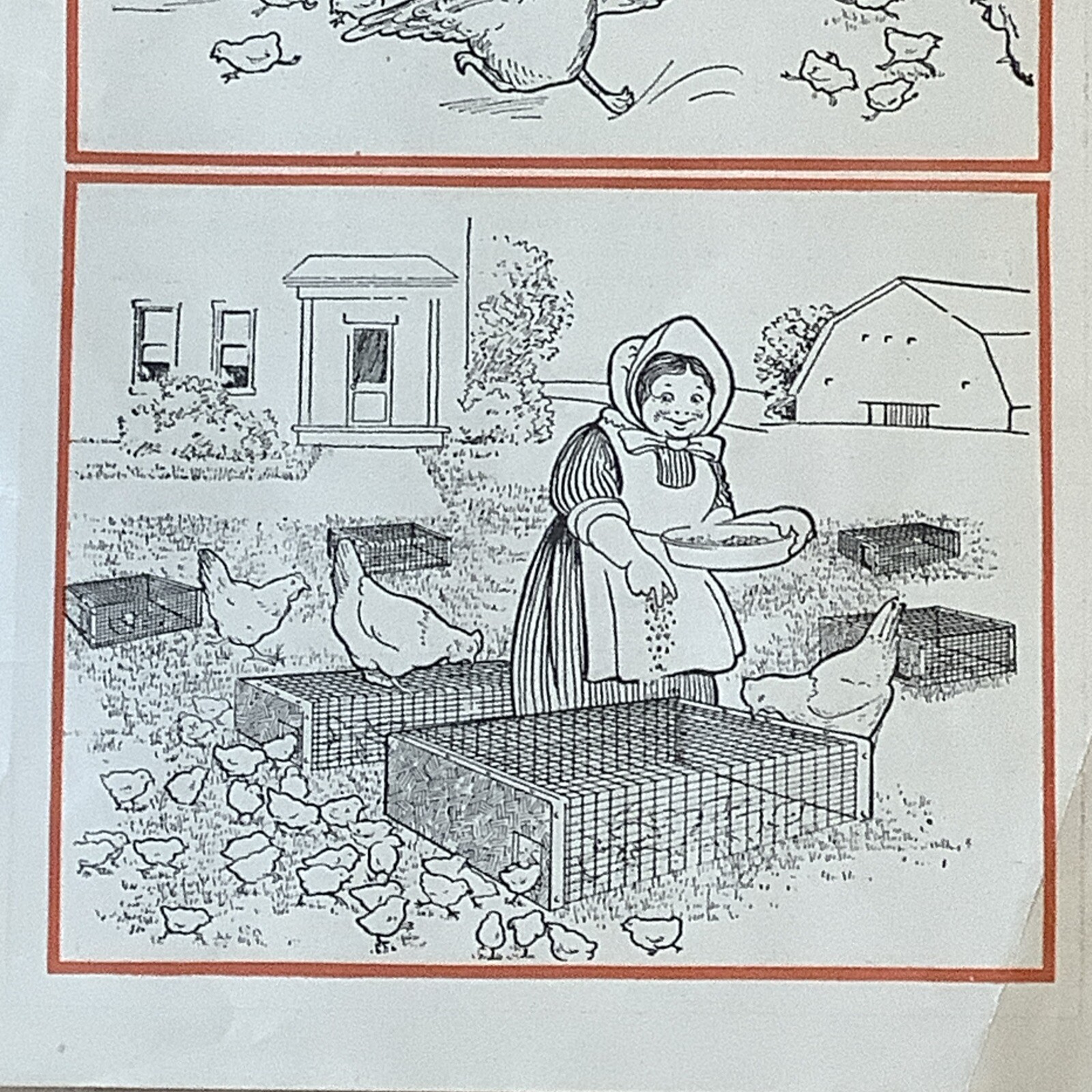 Antique Advertising Brochure Set Lawn Park Brood Coop Babie Feeder INV-P0945