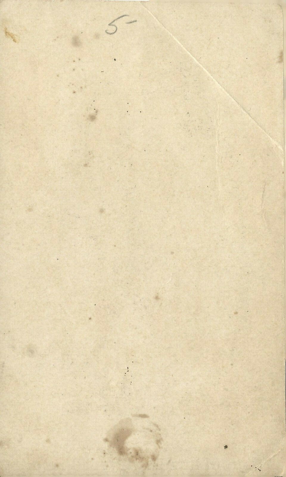 Williams Clark Schaufele NY Bone Fertilizer Victorian Trade Card Ad 1880s Indian