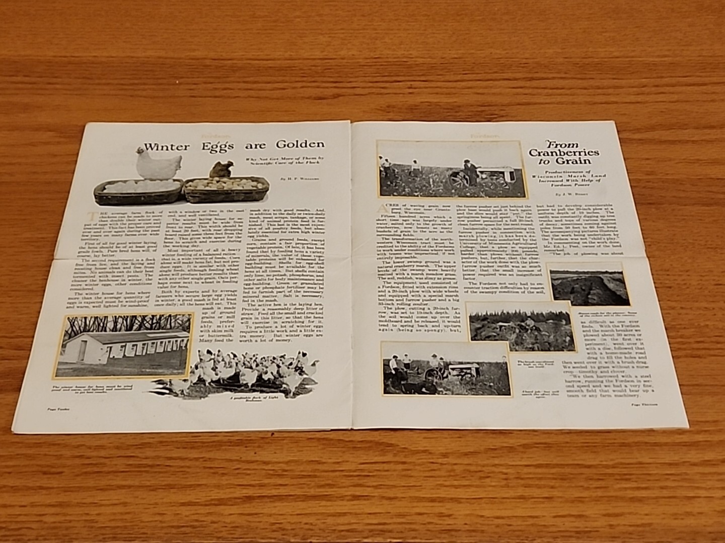 The Fordson Magazine February 1925 Vintage Original