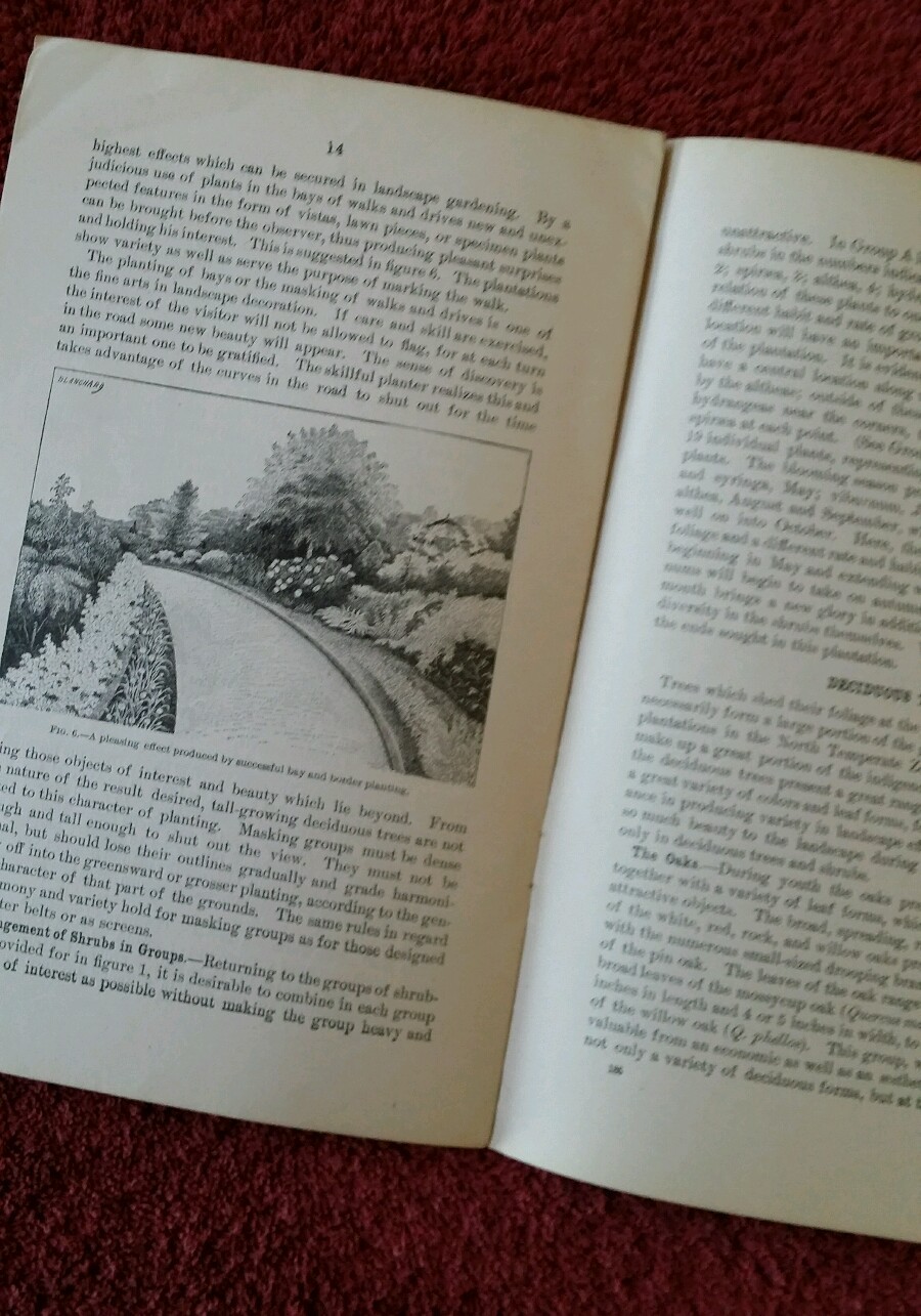U.S. Department of Ag Vintage 1904 Farmers&rsquo; Bulletin #185 Beautify Home Grounds
