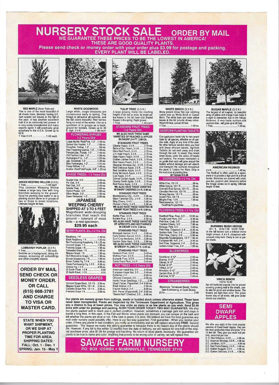 1993 Savage Farm Nursery, McMinnville, Tennessee Vintage Print Advertisement