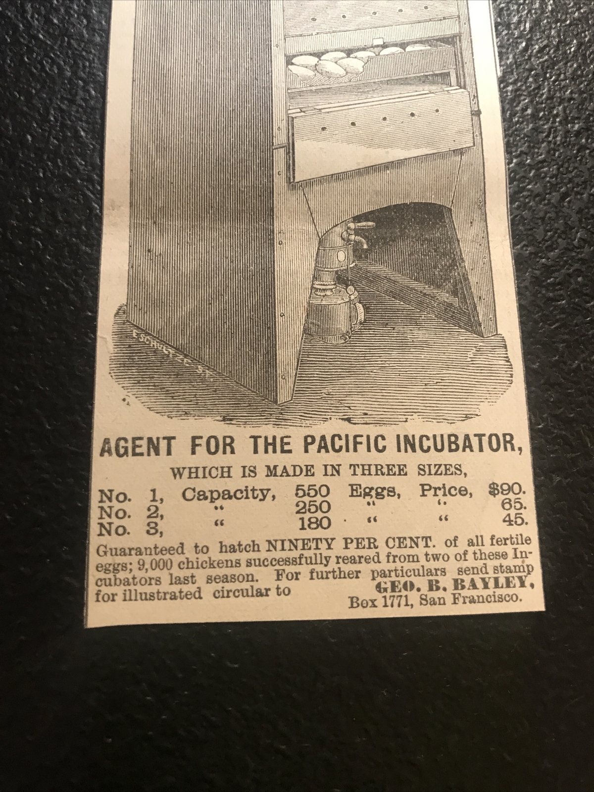 1882 Pacific Egg Incubator Chicken Farm Advertising – San Francisco California