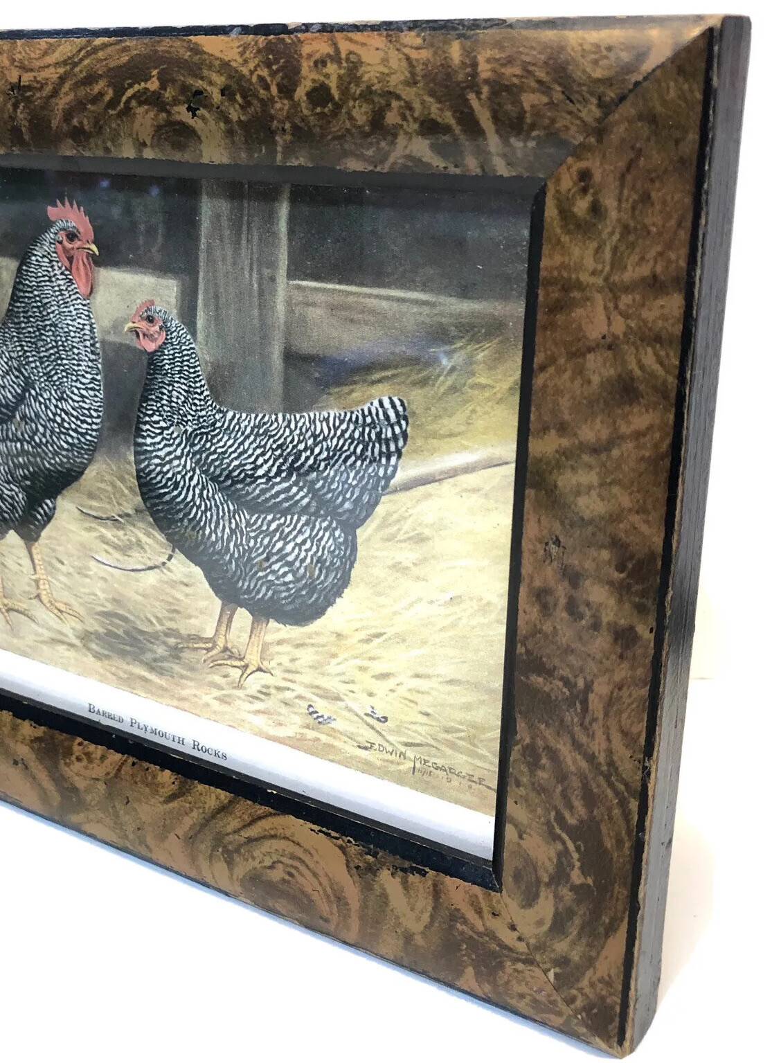 Vintage Barred Plymouth Rocks Framed Poultry Print Edwin Megargee No Glass As Is