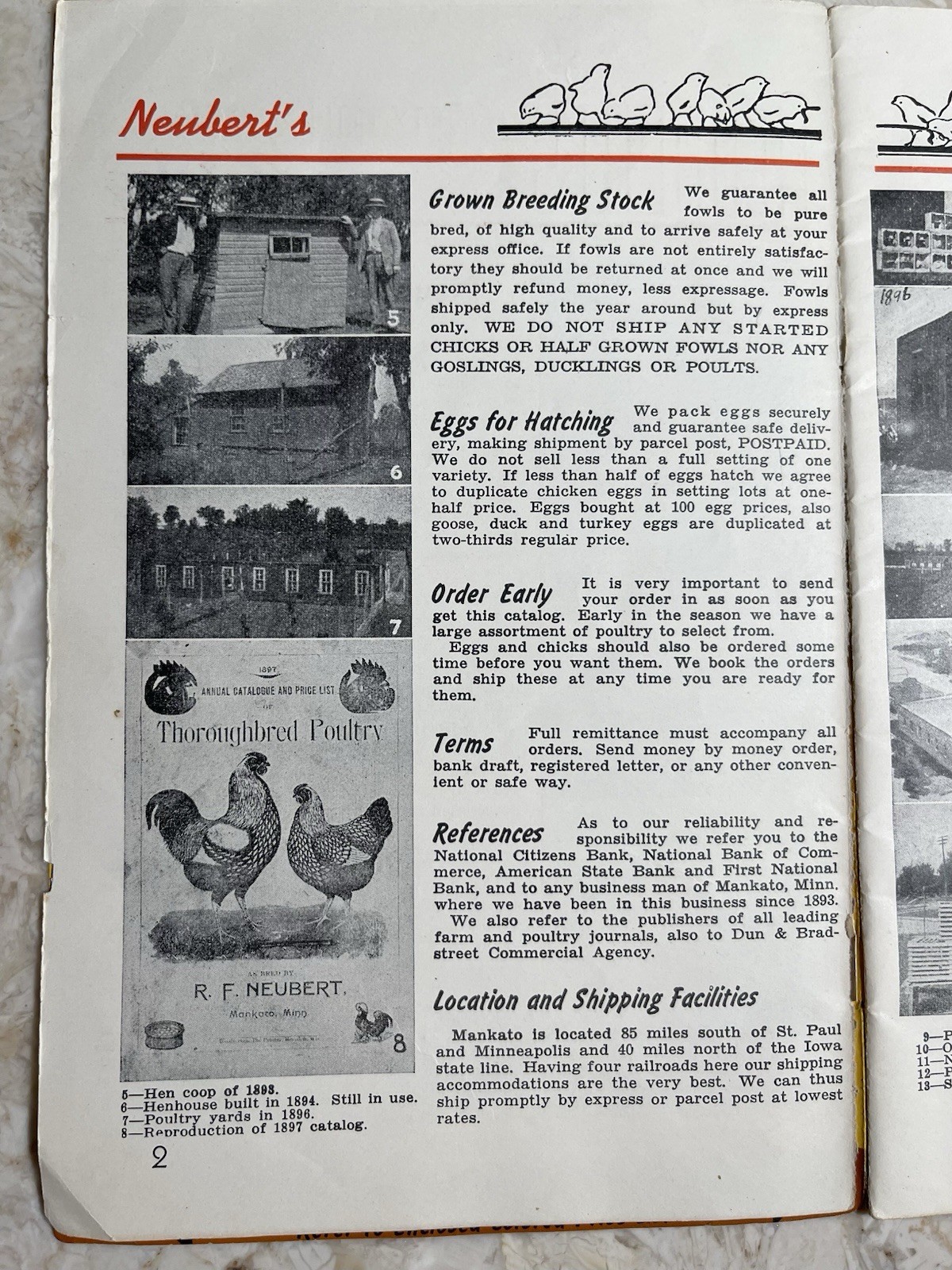 Vintage 1945 Neubert&rsquo;s Neubert Poultry + Supply Catalog Mankato MN