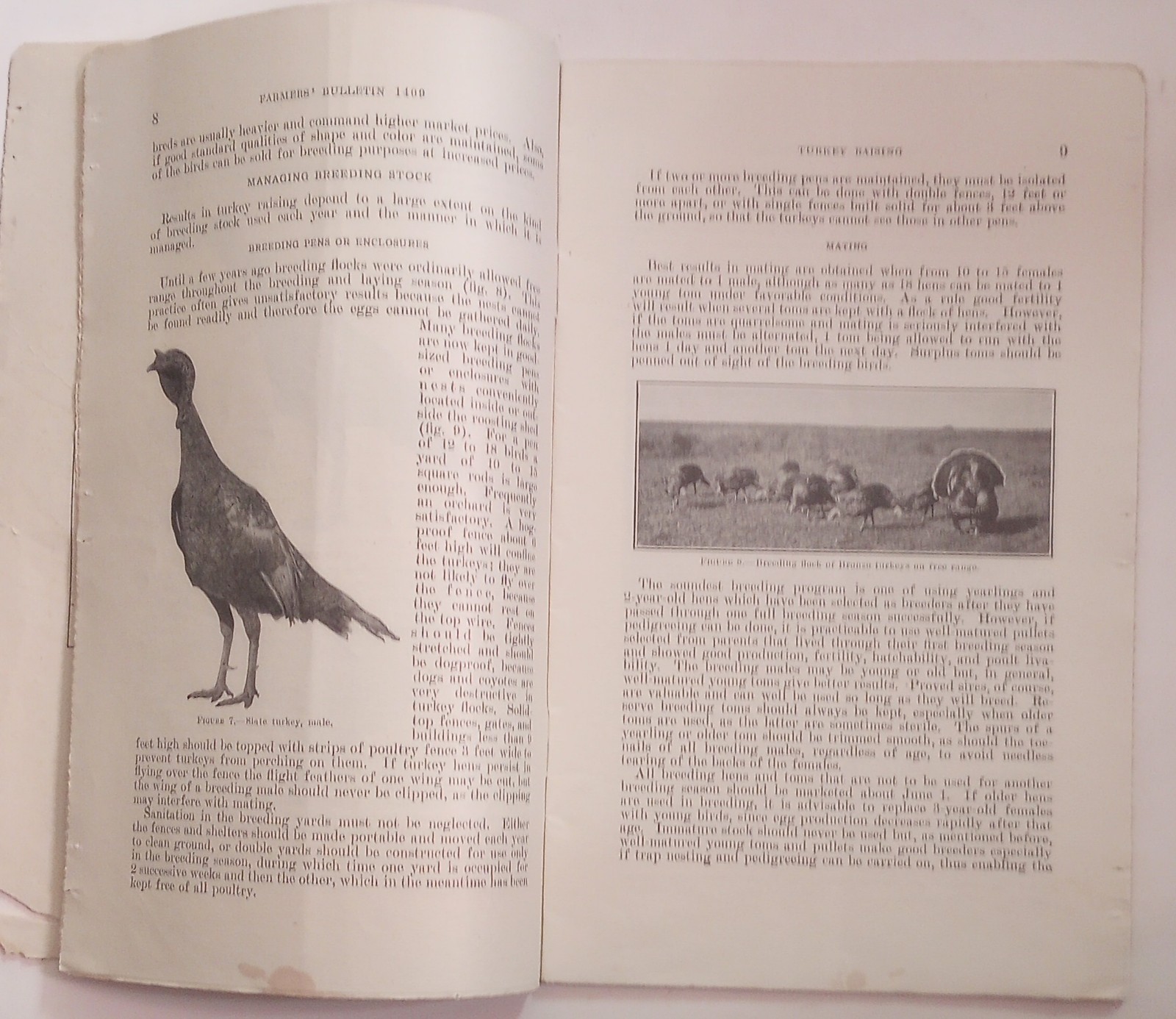1939 Turkey Raising U.S. Dept. Of Agriculture Bulletin #1409