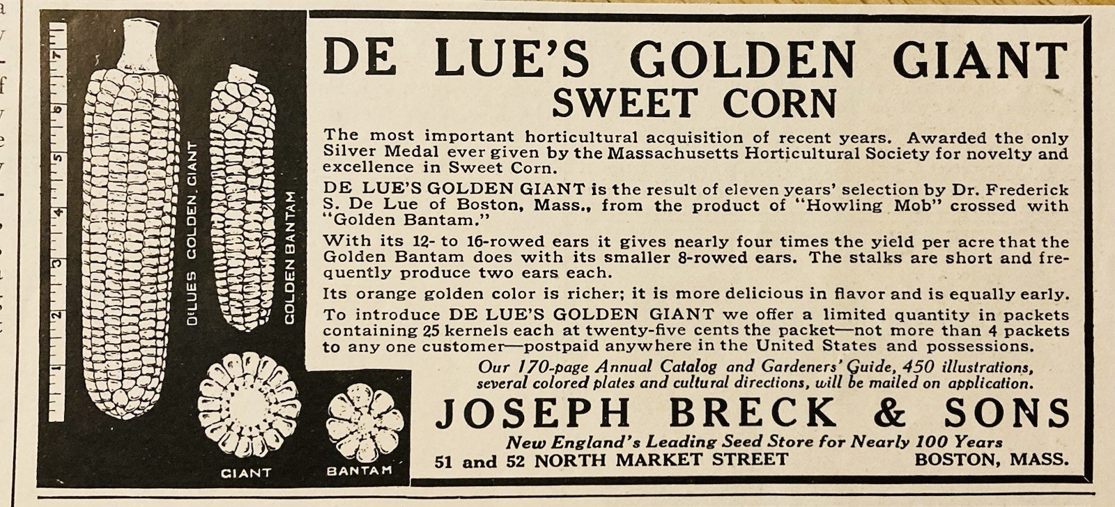 1917 AD.(XH80)~JOS. BRECK SONS CO. BOSTON. DE LUE’S GOLDEN GIANT SWEET CORN