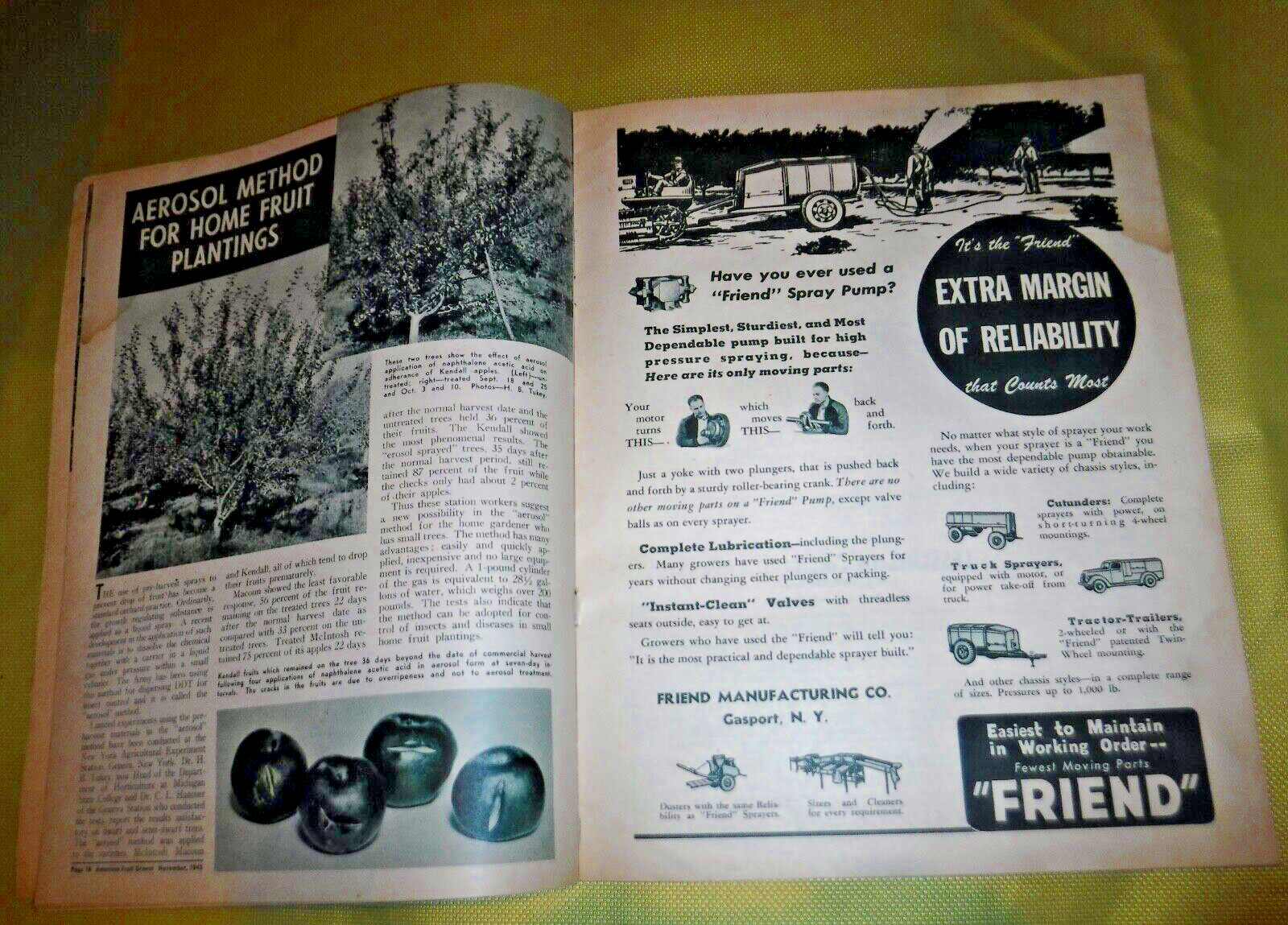 AMERICAN FRUIT GROWER NOV. 1945 MAGAZINE MICHIGAN CULTIVATED BLUEBERRY INDUSTRY