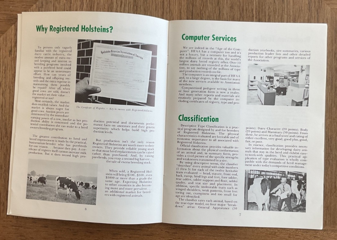 Magazine for Holstein Friesian Association of America – Breed For The New Breed