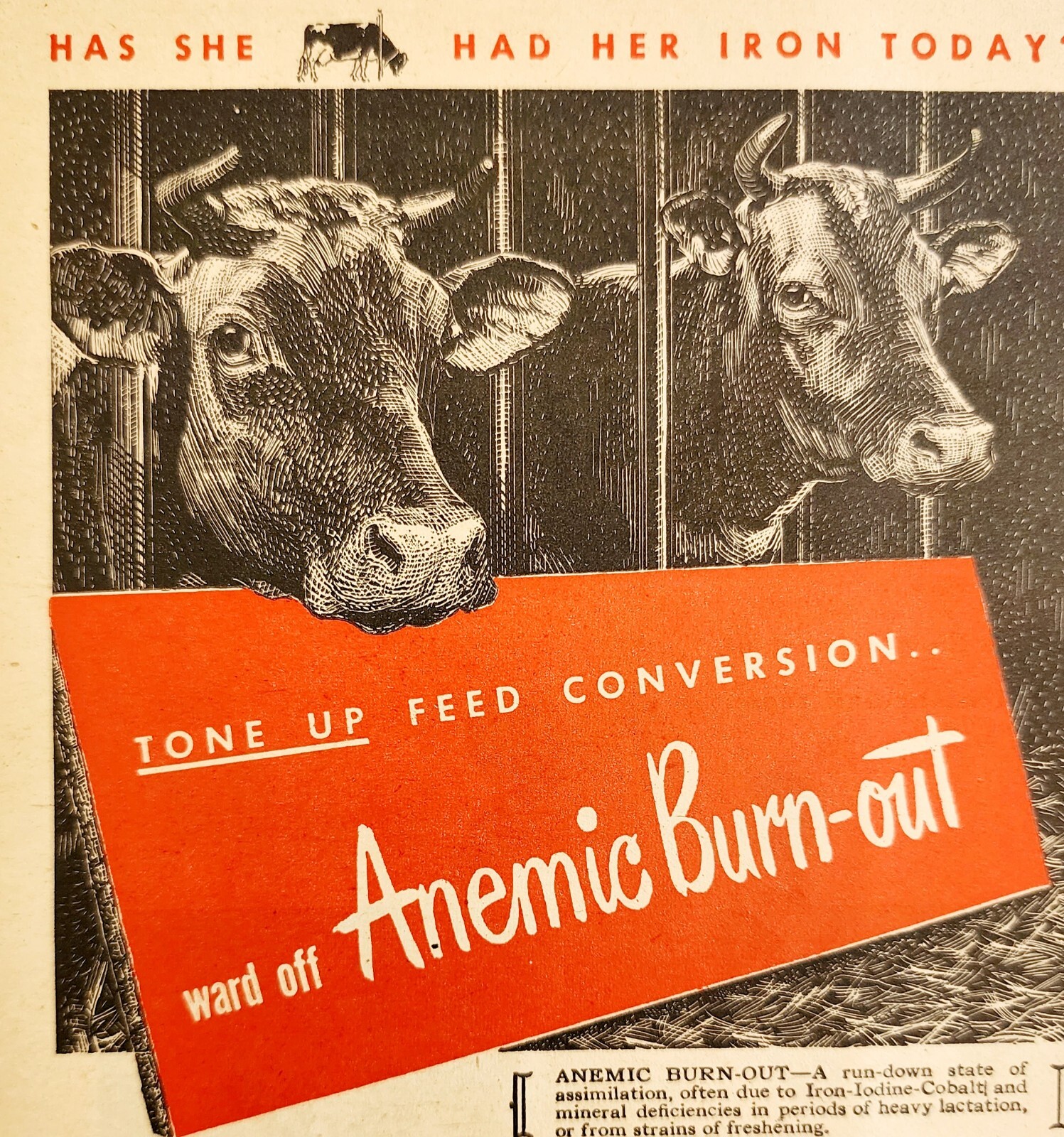 1947 Kow Care Cow Animal Health Advertisement Agriculture Farming DWNN20