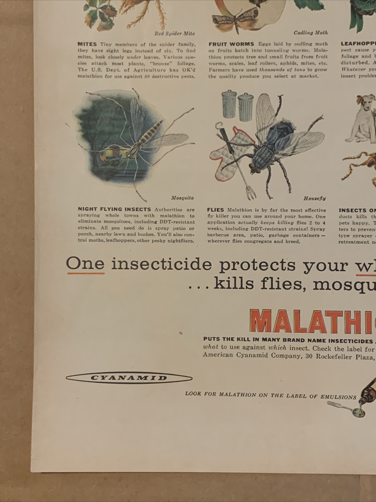 1957 Cyanamid Malathion Insecticide PRINT AD Garden Pests Common Insects VTG 50s