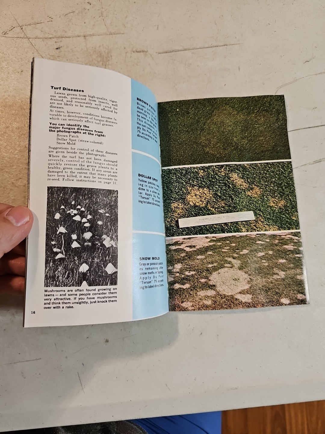 Vintage 1963 Dupont Lawn and Garden Guide. Agricultural Brochure