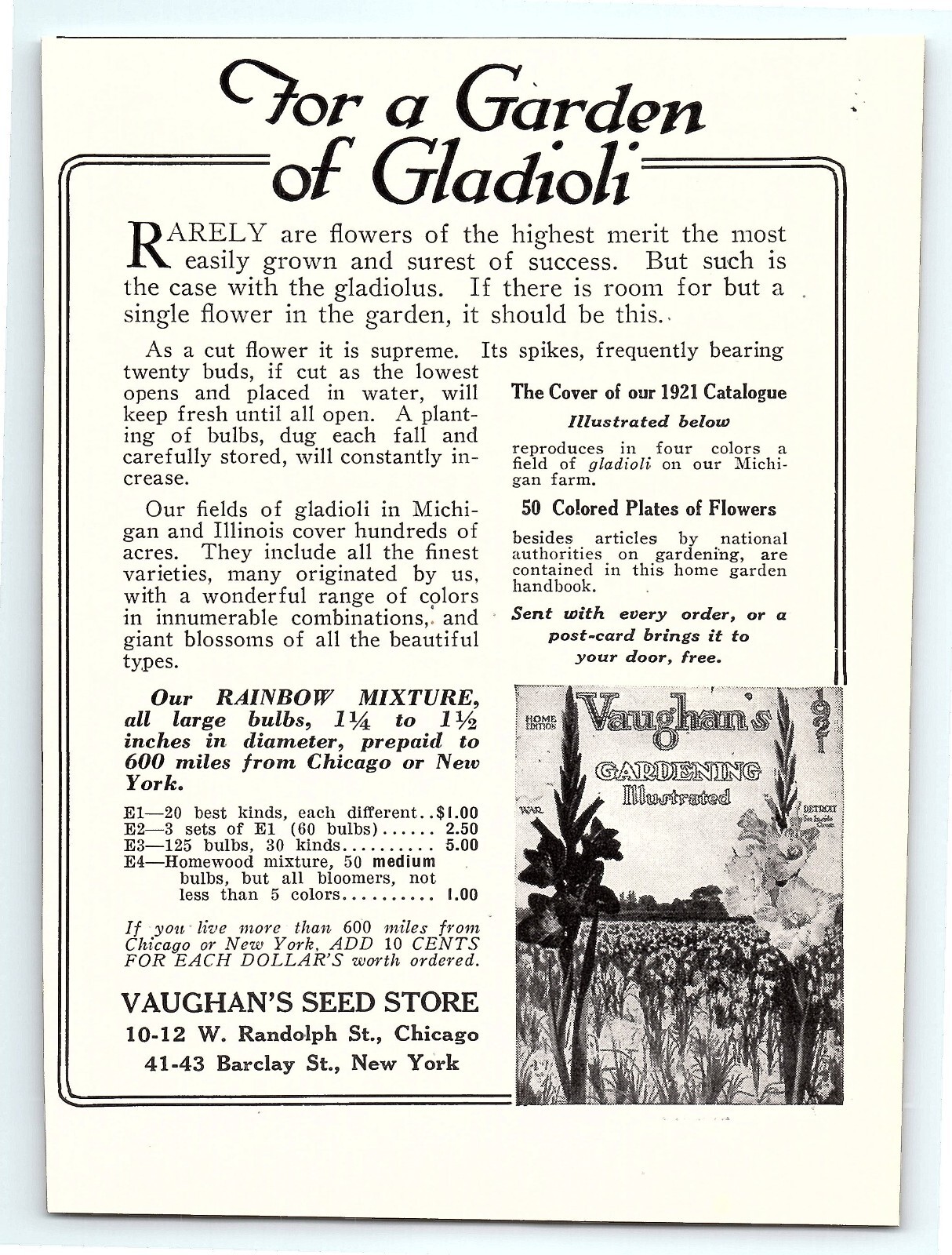 1921 Vaughan&rsquo;s Seed Store Gladioli Catalog NY Ephemera Vintage 20&rsquo;s Print Ad