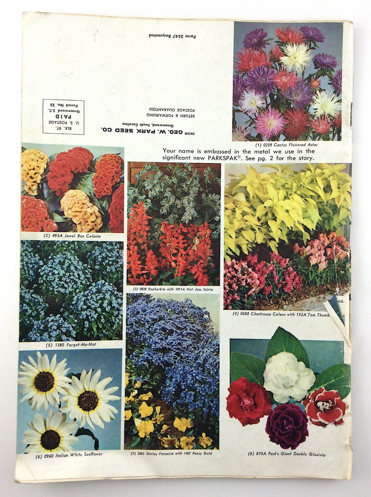 Parks Flower Book 1962 Greenwood South Carolina Garden Seed Catalog Q364