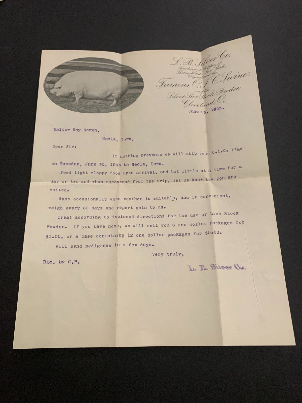 June 25 1903 L.B. Silver Famous O.I.C. Swine Letterhead Cleveland Ohio