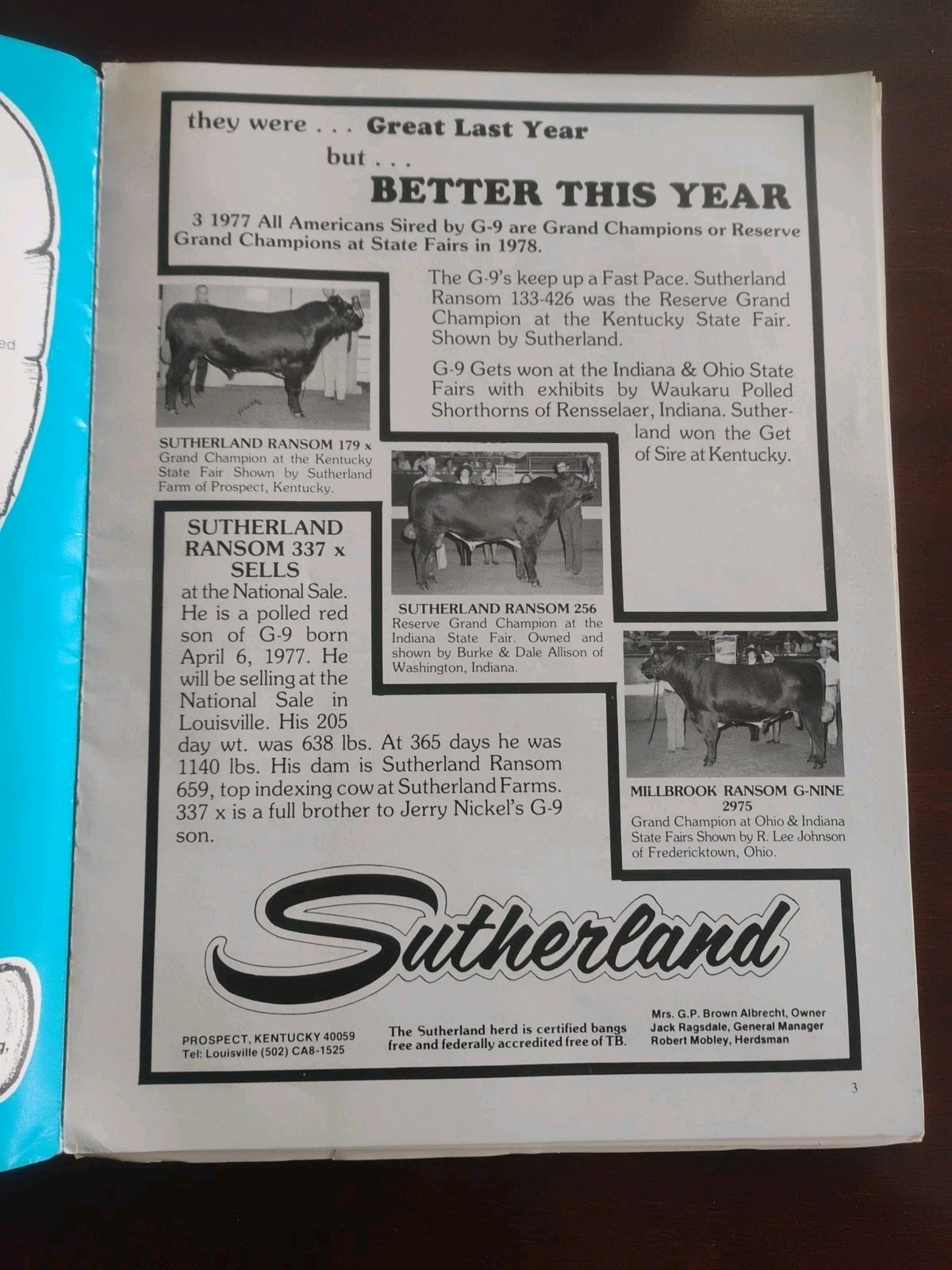 Shorthorn Country October,1978 Shorthorn Magazine Breed Publication