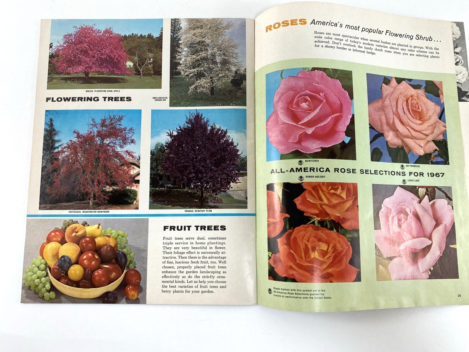 Vtg Dan Majeski Nurseries Landscape Gardening 1967 Catalog Western NY