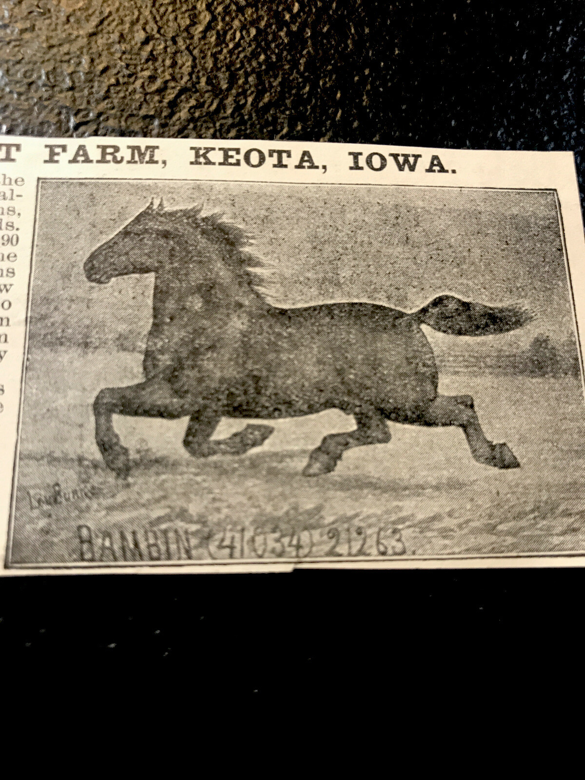 1900 Maplehurst Farm Horse Advertising – Keota – Iowa – Equestrian