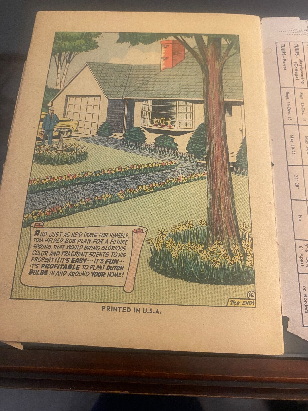 Vintage Ephemera – 1956 Bulb Magic Pamphlet – Bulb Growers Of Holland