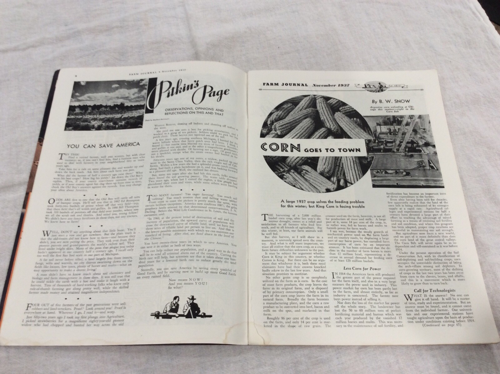 1937 Farm Journal Magazine Iowa State College Experiment Station W/Pigs Ames