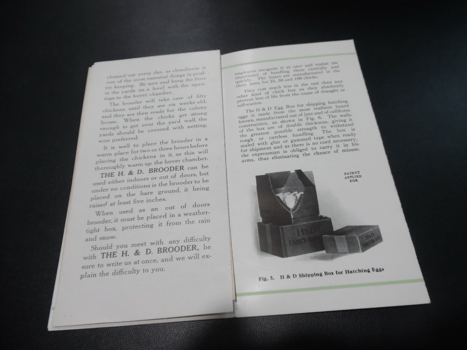 EARLY 1900&rsquo;s BROODER CHICKEN HATCHING EGGS AGRICULTURE ADVERTISING BROCHURE