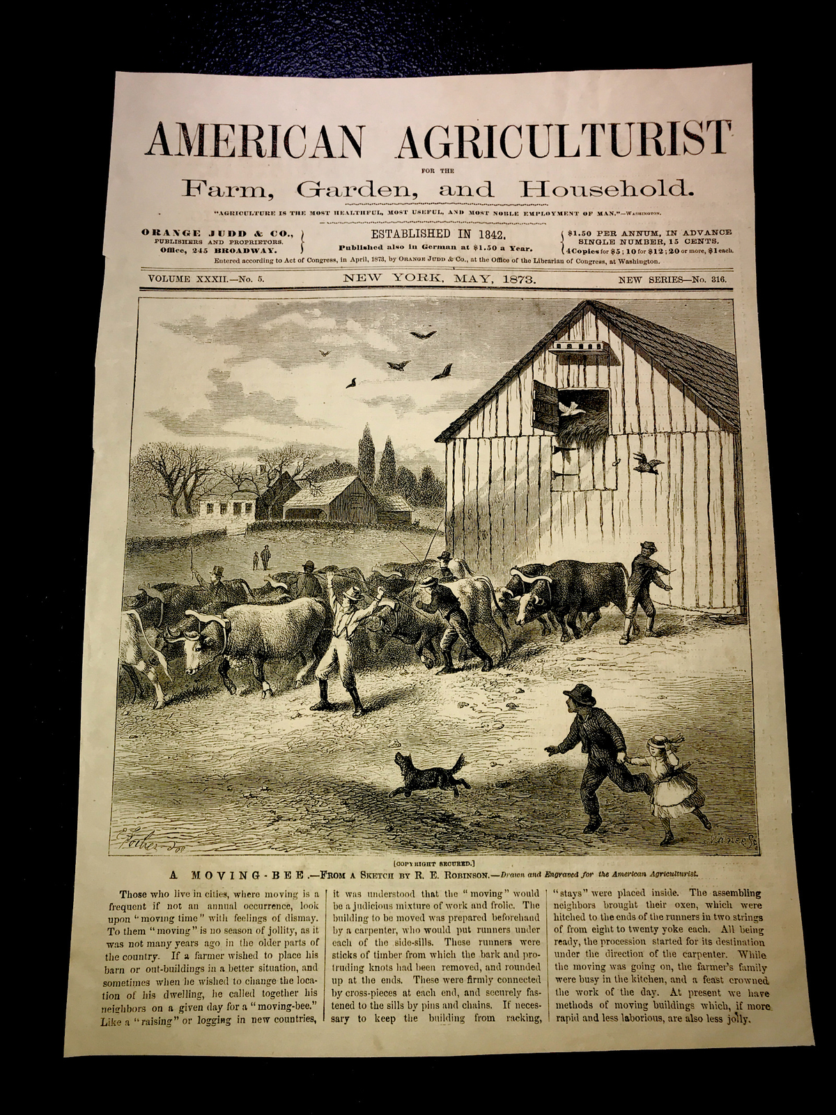 ORIGINAL 1873 Cattle Farm Barn Engraving Advertising