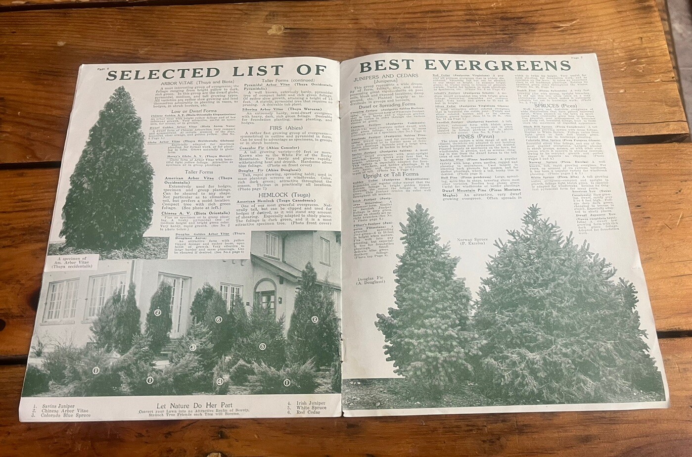 1923 Stark Brothers Advertising Nurseries Catalog Horticulture Since 1816 Rare