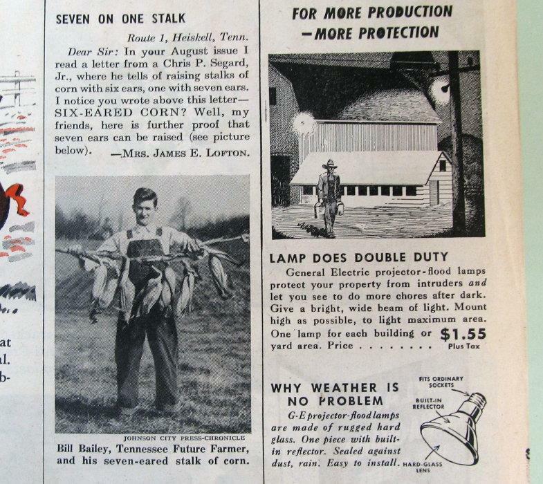 Origingal 1949 FFA Photo Item Featuring Bill Bailey of Tennessee